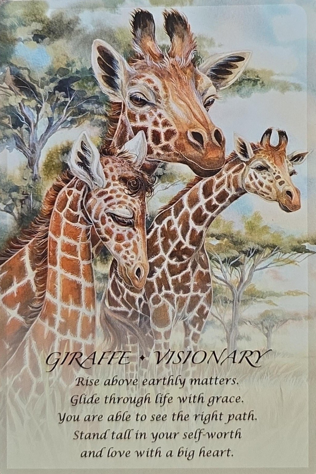 2025．弗拉迪米爾·亞歷山德羅維奇·澤倫斯基的下半年運勢