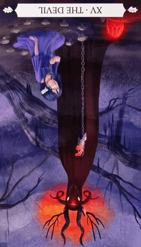 2026．川習會順不順利，對習政權的影響。5月14、15日